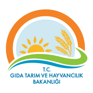 logo-3